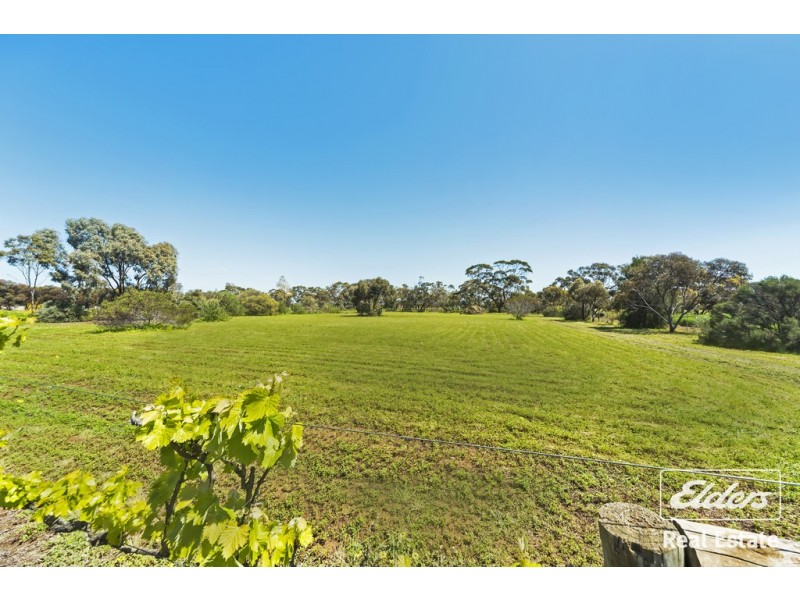 29 Barkley Drive, Gawler Belt SA 5118