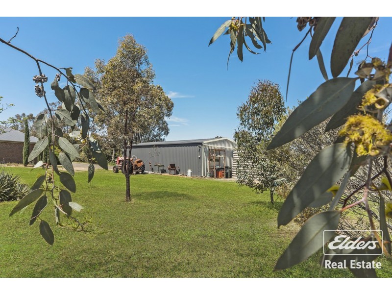 29 Barkley Drive, Gawler Belt SA 5118