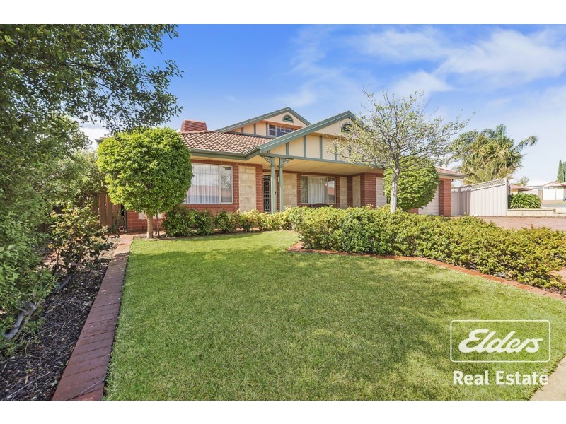 2 Creedon Close, Evanston Park SA 5116