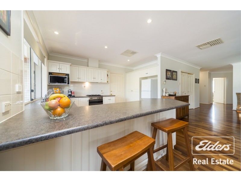 2 Creedon Close, Evanston Park SA 5116