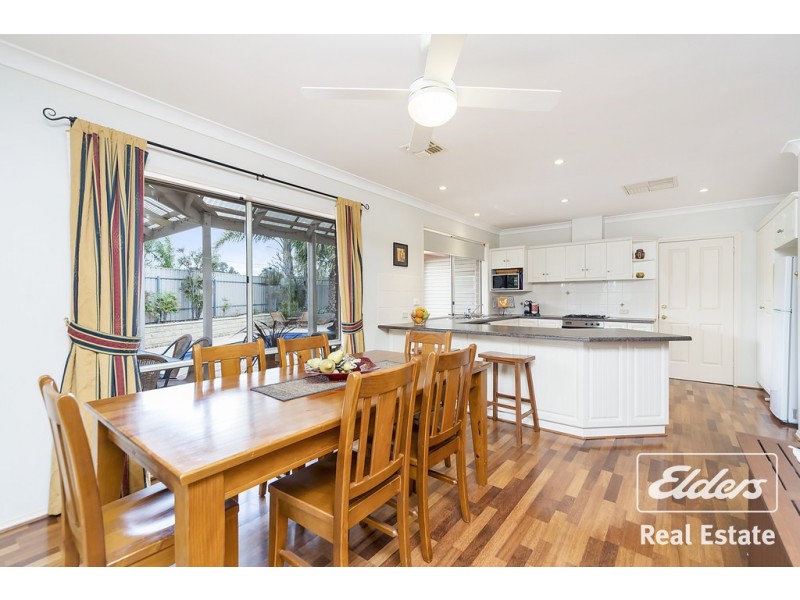 2 Creedon Close, Evanston Park SA 5116