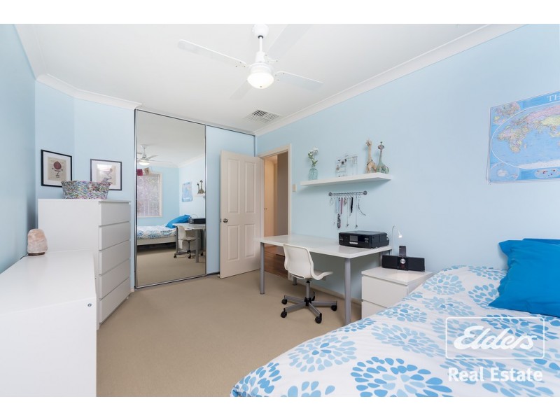 2 Creedon Close, Evanston Park SA 5116