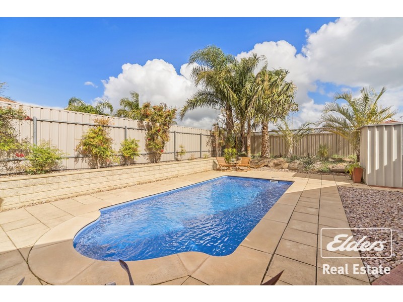 2 Creedon Close, Evanston Park SA 5116