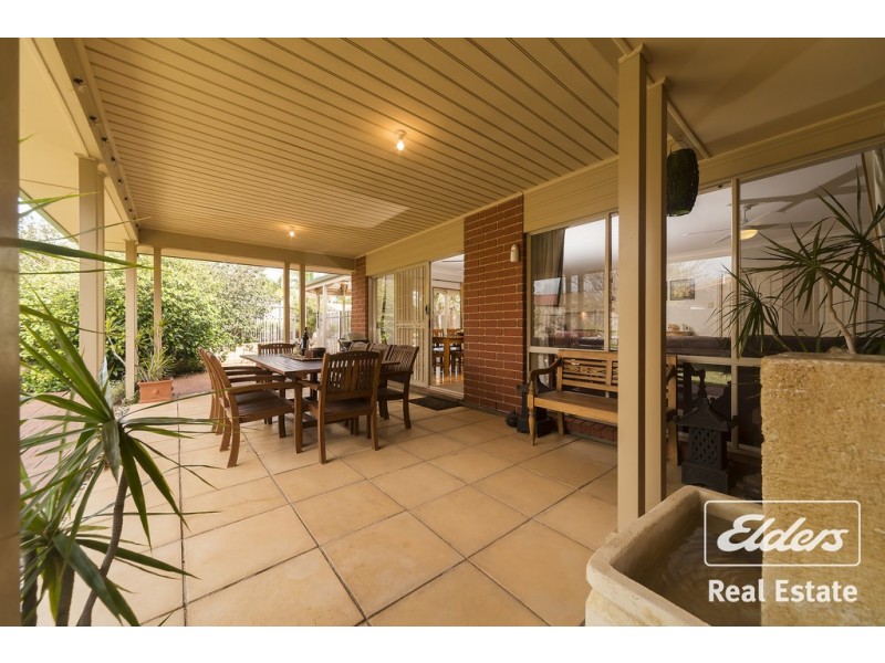 2 Creedon Close, Evanston Park SA 5116