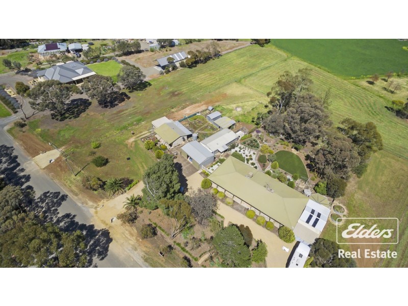25 Ronda Avenue, Roseworthy SA 5371