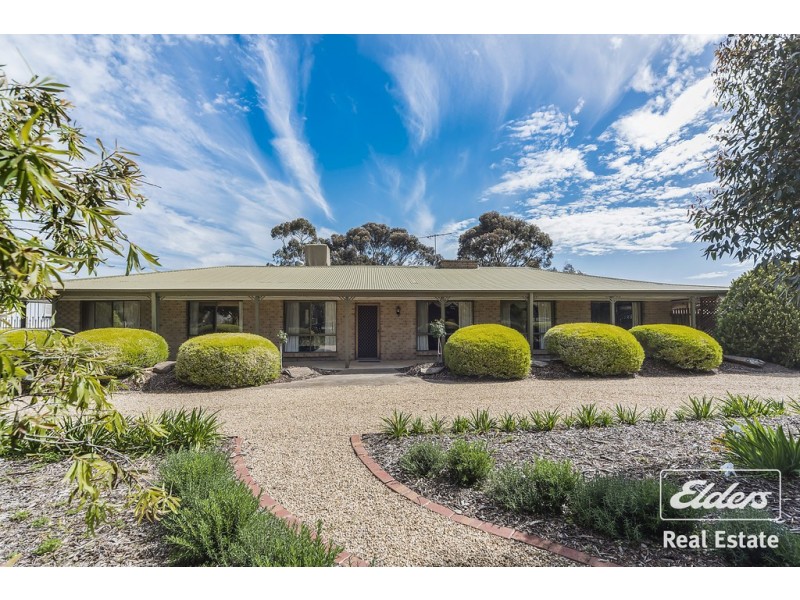25 Ronda Avenue, Roseworthy SA 5371