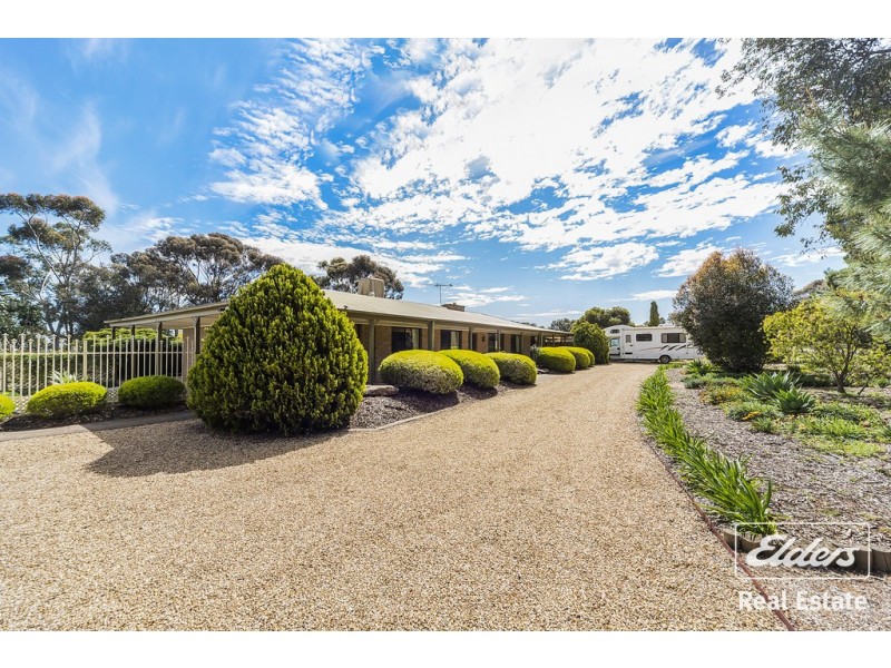 25 Ronda Avenue, Roseworthy SA 5371