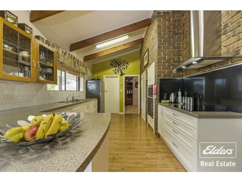 25 Ronda Avenue, Roseworthy SA 5371