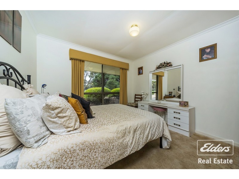 25 Ronda Avenue, Roseworthy SA 5371
