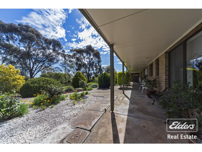 25 Ronda Avenue, Roseworthy SA 5371