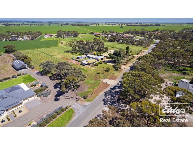 25 Ronda Avenue, Roseworthy SA 5371