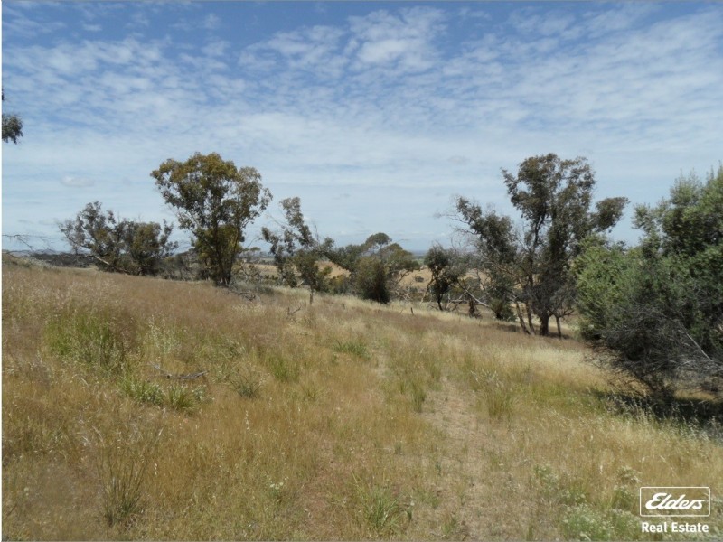 11 Old Sturt Highway, Daveyston SA 5355