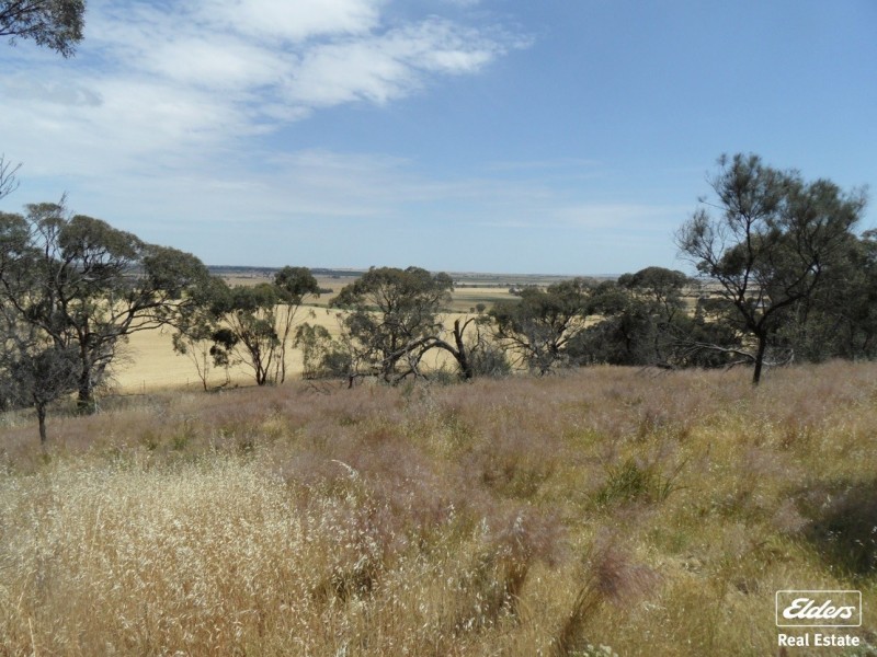 11 Old Sturt Highway, Daveyston SA 5355