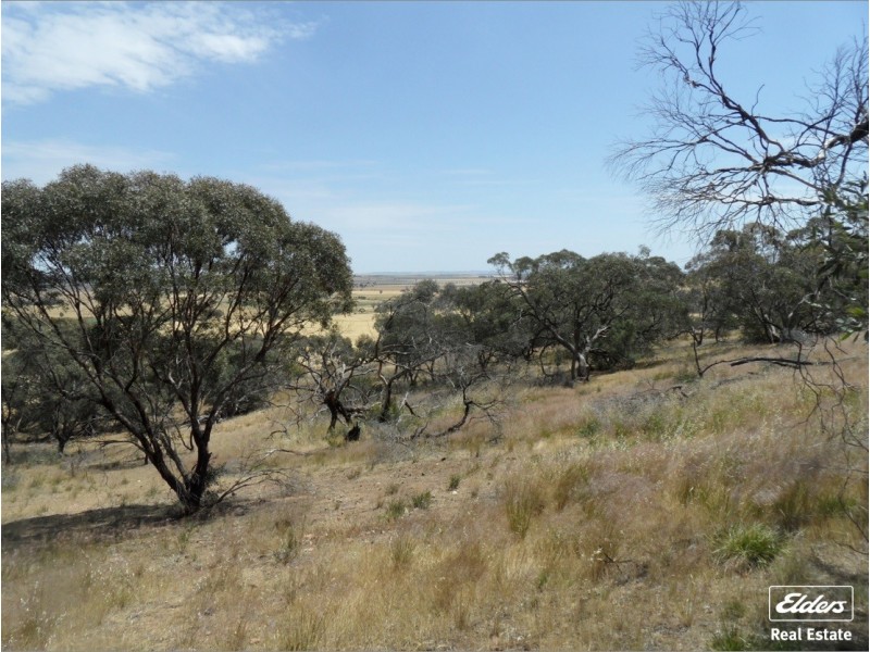 11 Old Sturt Highway, Daveyston SA 5355