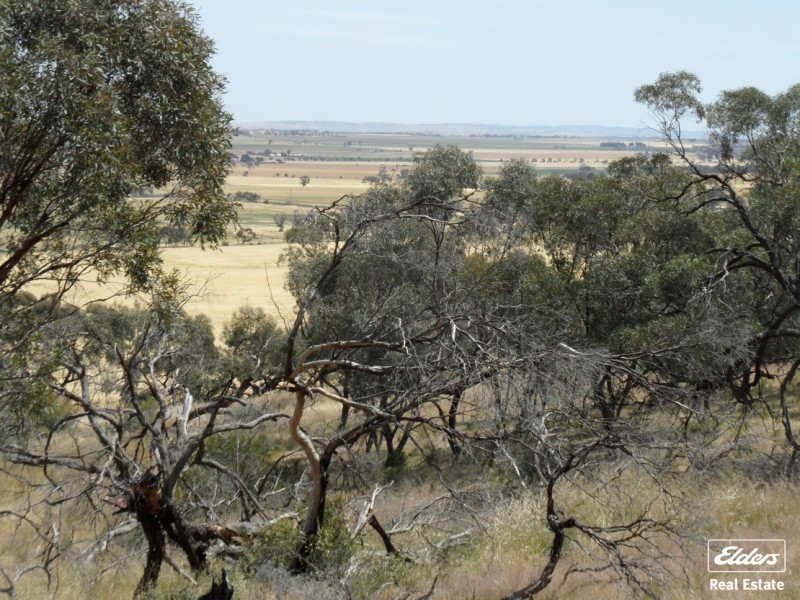 11 Old Sturt Highway, Daveyston SA 5355