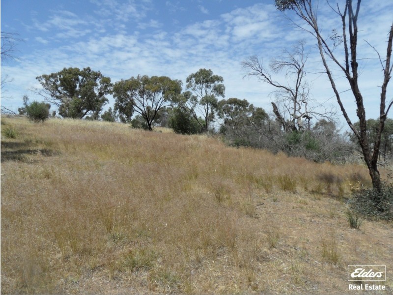 11 Old Sturt Highway, Daveyston SA 5355