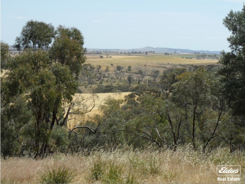 11 Old Sturt Highway, Daveyston SA 5355