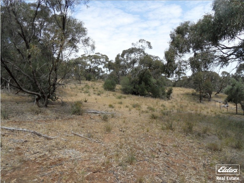 11 Old Sturt Highway, Daveyston SA 5355