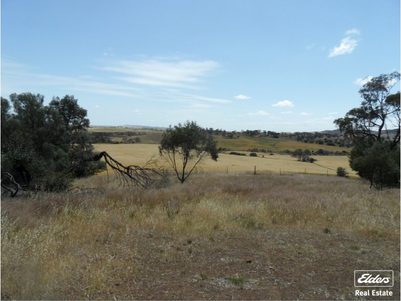 11 Old Sturt Highway, Daveyston SA 5355