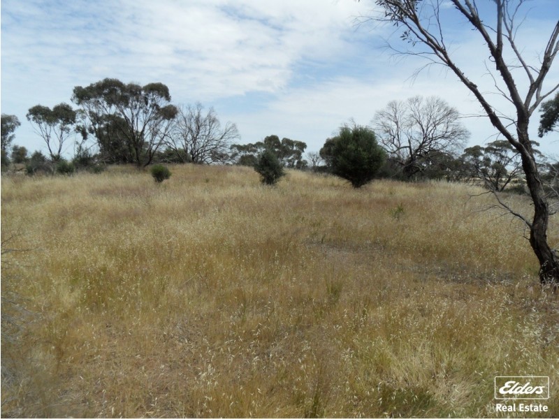 11 Old Sturt Highway, Daveyston SA 5355