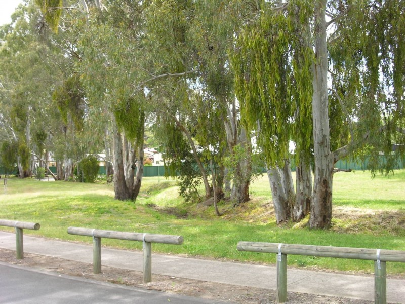 7 Ian Ross Drive, Williamstown SA 5351