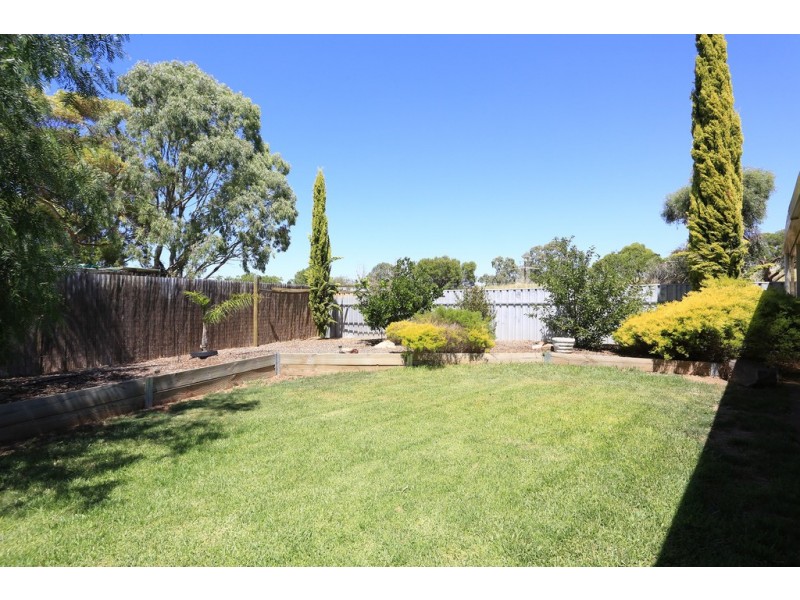 8 Harkness Street, Willaston SA 5118