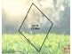 Lot 16 Moss Road, Munno Para Downs SA 5115