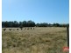 Lot 16 Moss Road, Munno Para Downs SA 5115