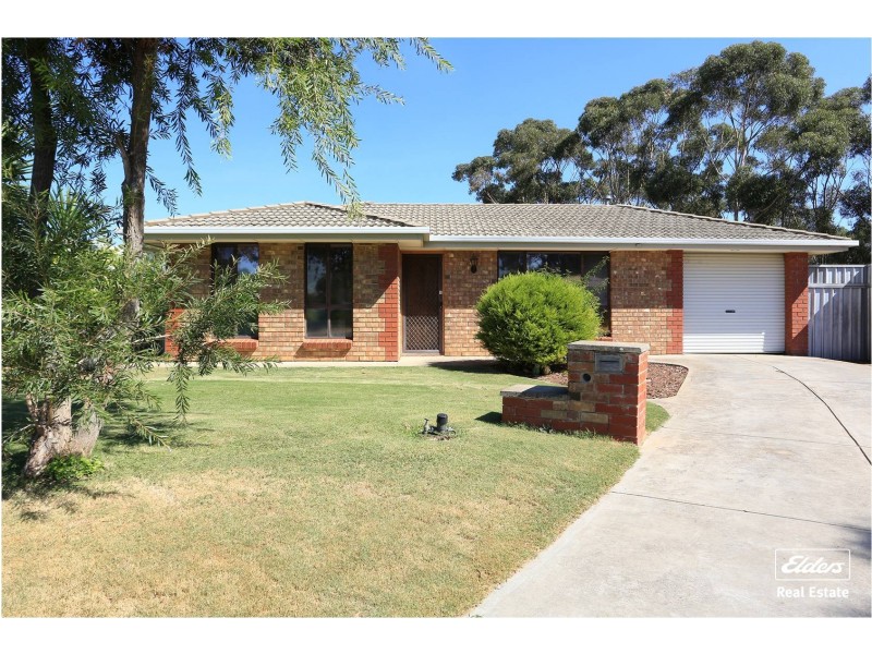 17 Window Road, Willaston SA 5118