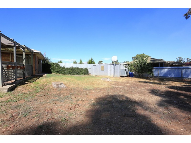 17 Window Road, Willaston SA 5118