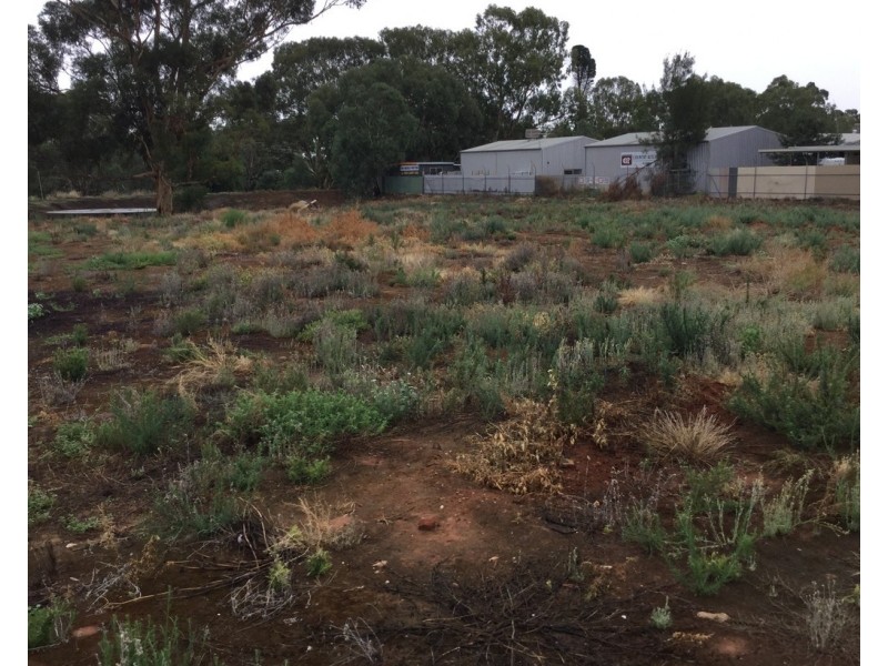 Lot 34 Little Paxton Street, Willaston SA 5118