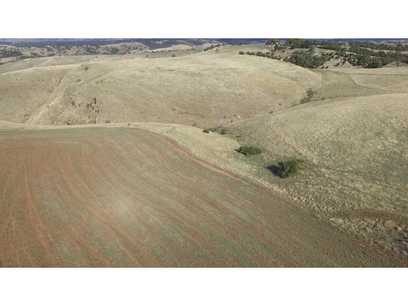 Lt 33,34,44,45 One Tree Hill Road, Gawler SA 5118