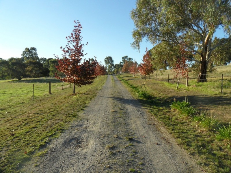 125 Woolshed Road, Kersbrook SA 5231