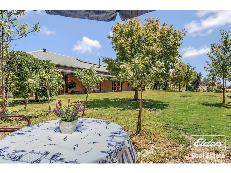 125 Woolshed Road, Kersbrook SA 5231