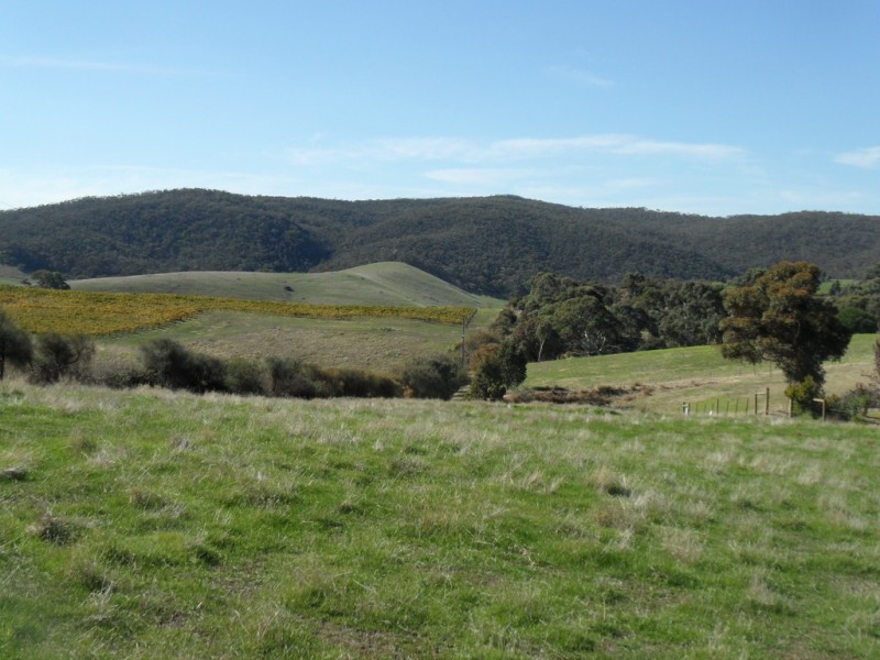 125 Woolshed Road, Kersbrook SA 5231