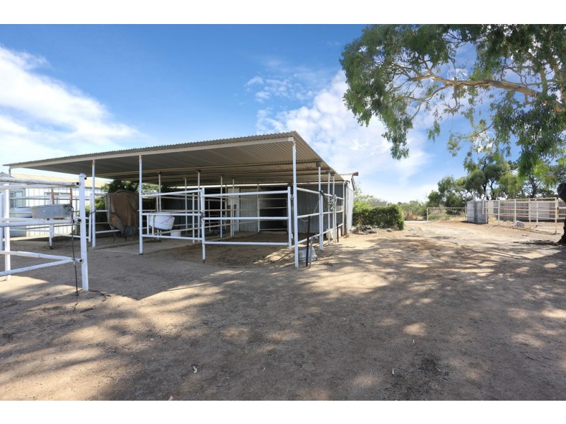 105 Clancy Road, Gawler Belt SA 5118