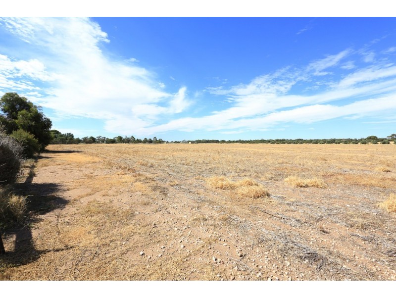 105 Clancy Road, Gawler Belt SA 5118