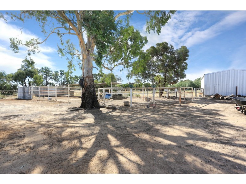 105 Clancy Road, Gawler Belt SA 5118