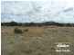 Lot 6 (847) Trial Hill Road, Pewsey Vale SA 5351