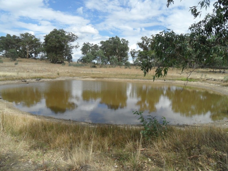 Lot 6 (847) Trial Hill Road, Pewsey Vale SA 5351