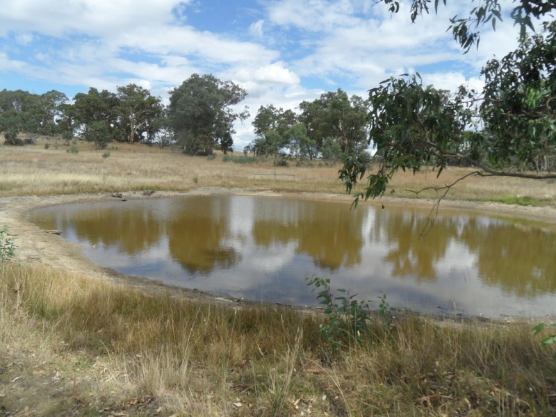 Lot 6 (847) Trial Hill Road, Pewsey Vale SA 5351