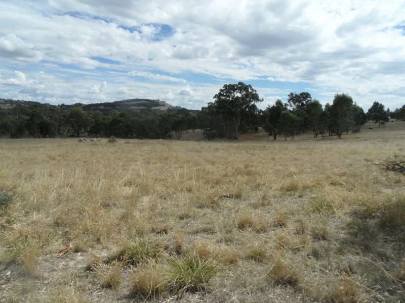 Lot 6 (847) Trial Hill Road, Pewsey Vale SA 5351