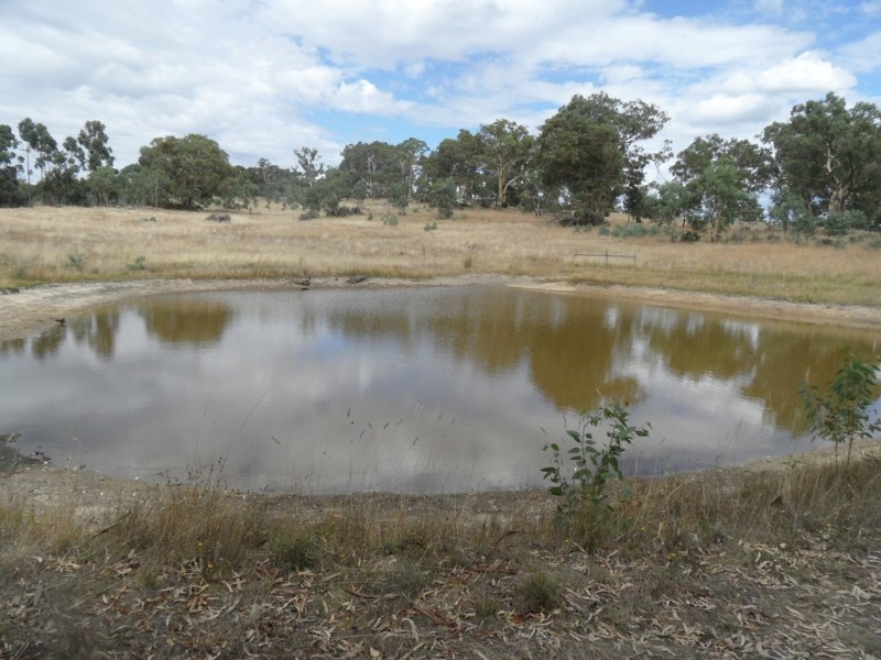 Lot 6 (847) Trial Hill Road, Pewsey Vale SA 5351