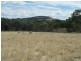 Lot 6 (847) Trial Hill Road, Pewsey Vale SA 5351