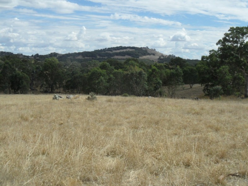 Lot 6 (847) Trial Hill Road, Pewsey Vale SA 5351