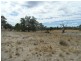 Lot 6 (847) Trial Hill Road, Pewsey Vale SA 5351
