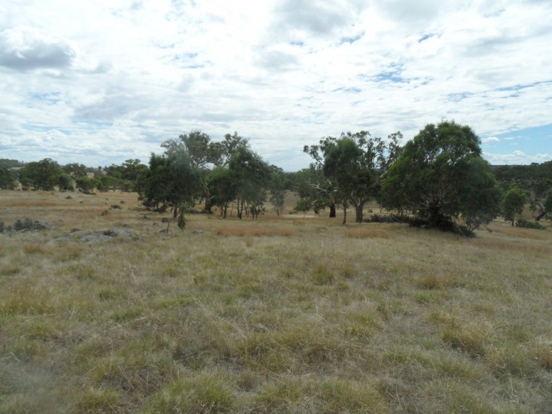 Lot 6 (847) Trial Hill Road, Pewsey Vale SA 5351