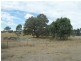 Lot 6 (847) Trial Hill Road, Pewsey Vale SA 5351