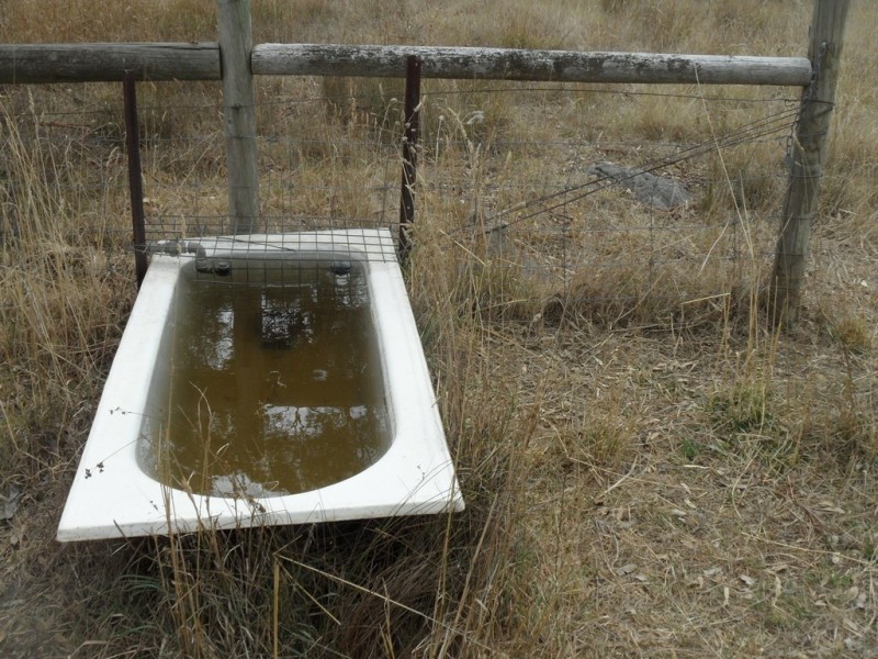 Lot 6 (847) Trial Hill Road, Pewsey Vale SA 5351