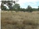 Lot 6 (847) Trial Hill Road, Pewsey Vale SA 5351